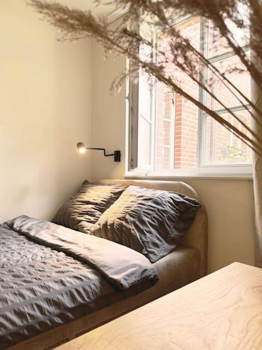 Natural In The Center - Old Town Apartment