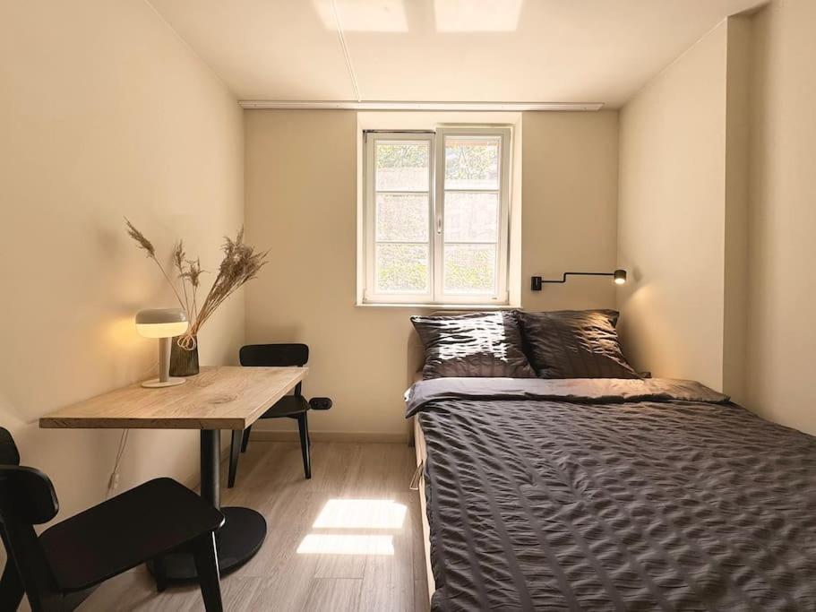 Apartment Natural In The Center - Old Town Wroclaw